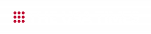 The USA Times Logo